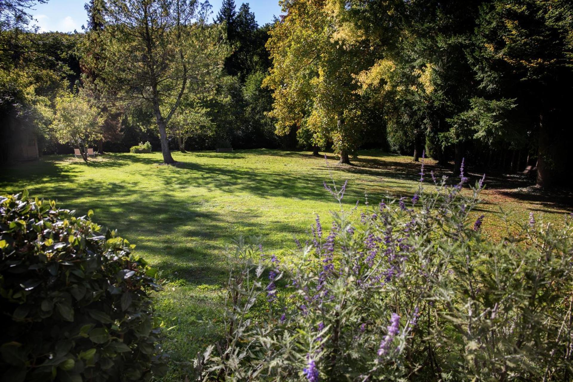 Saint-Ouen-les-Vignes L'Aubiniere Hotel Restaurant & Spa מראה חיצוני תמונה